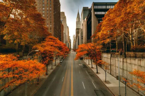 Nueva York en otoño