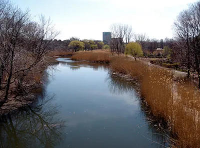 Parque Back Bay Fens Park de Boston