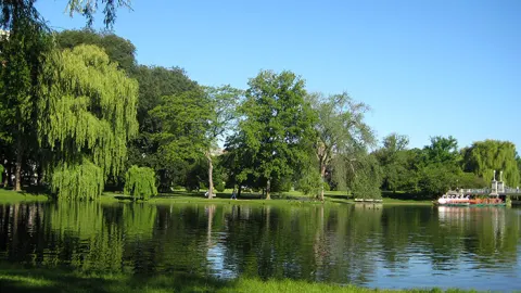 Common Park de Boston
