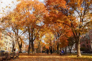 Commonwealth Avenue Mall de Boston