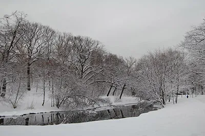 Parque Riverway de Boston