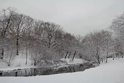 Parque Riverway de Boston