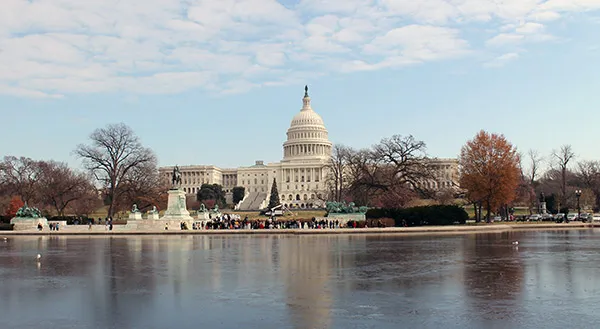 El Capitolio de los Estados Unidos (The Capitol) El Capitolio de los Estados Unidos (The Capitol)