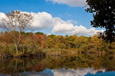 Foto de Bronx Park de Nueva York