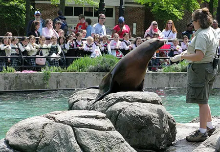Foto de Brooklyn Prospect Zoo de Nueva York