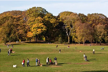 Foto de Brooklyn Prospect Park de Nueva York