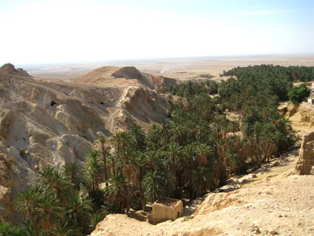 Oasis de Chebika