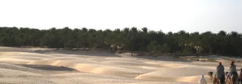 Oasis douz