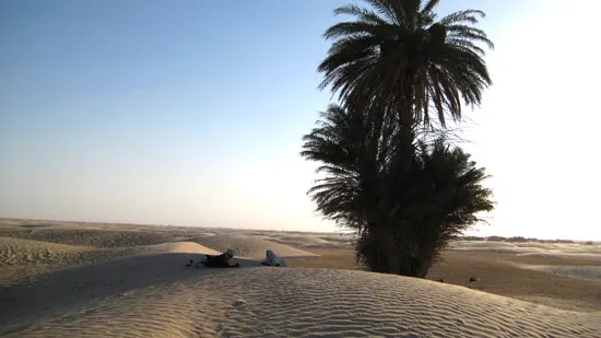 Puerta desierto douz tunez