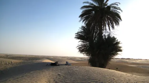 Puerta desierto douz tunez