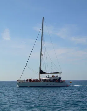 Foto de un barco de excursión para ver las ballenas piloto