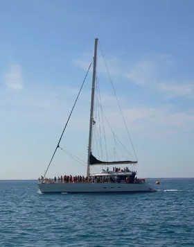 Foto de un barco de excursión para ver las ballenas piloto