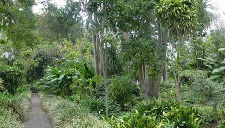 Jardín Botanico de la Orotava en Puerto de la Cruz