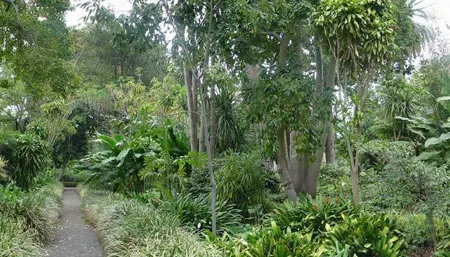 Jardín Botanico de la Orotava en Puerto de la Cruz